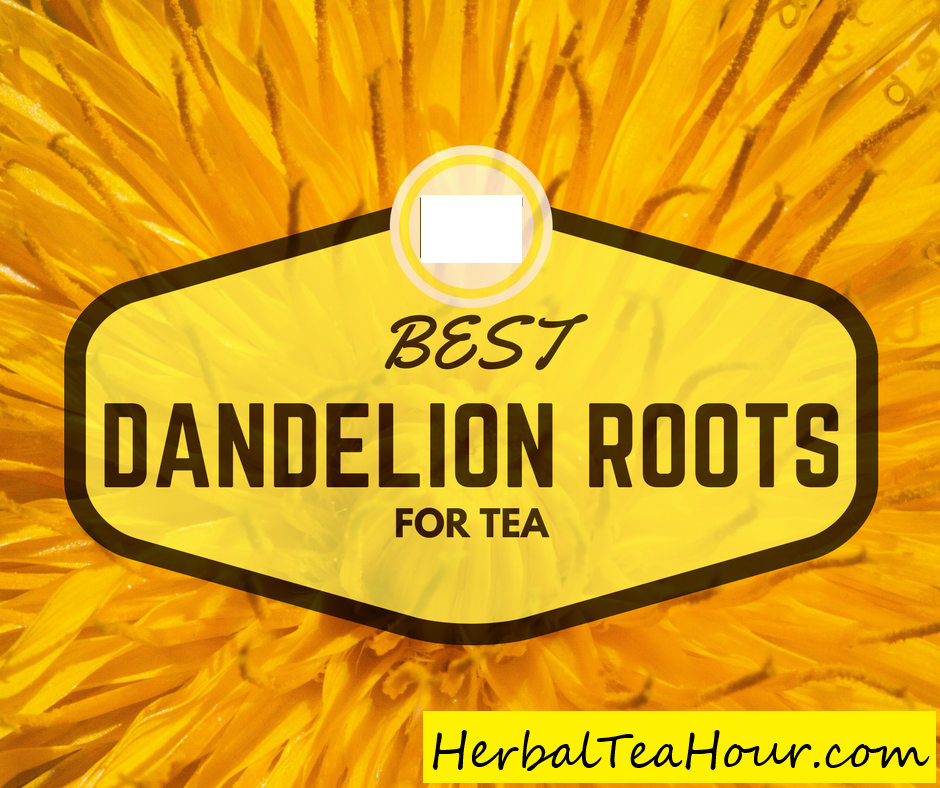 best dandelion roots
