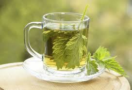 nettle tea cup