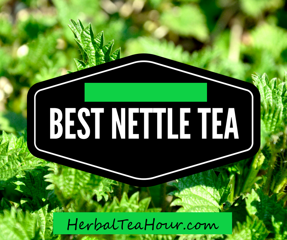 best nettle tea