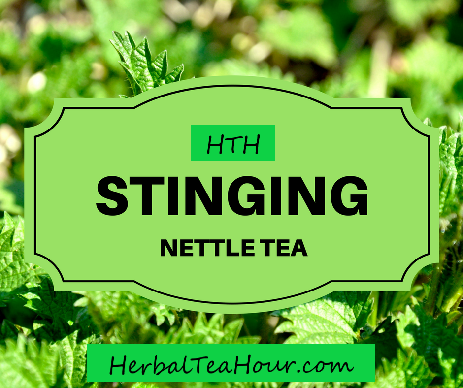 stinging nettle tea