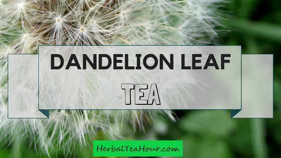 dandelion leaf tea