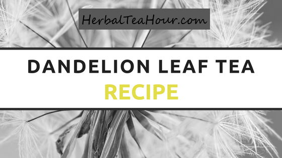 dandelion leaf tea recipe
