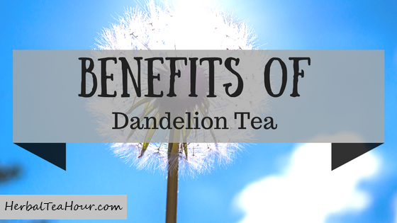 dandelion tea benefits