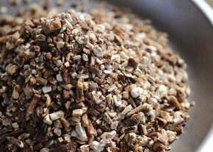 buy roasted dandelion root