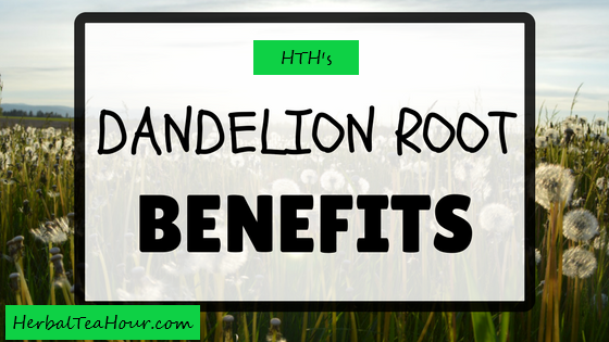 dandelion root benefits