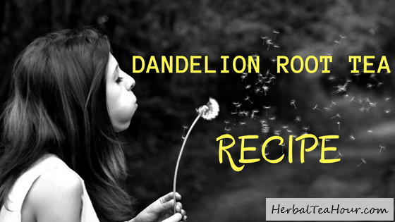 dandelion root tea recipe