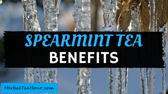 spearmint tea benefits