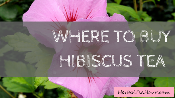 where to buy hibiscus tea
