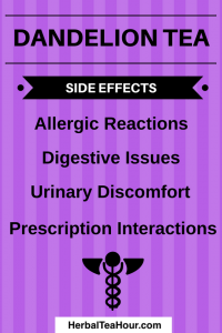 dandelion tea side effects