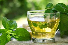 spearmint herbal tea recipe