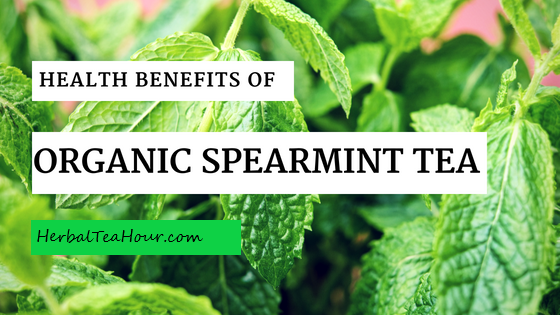 organic spearmint tea