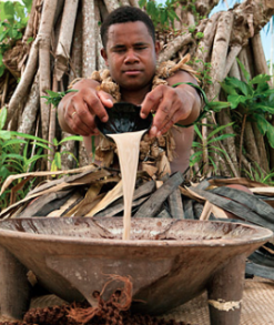 Kava Pills