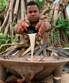 Yogi Kava Tea