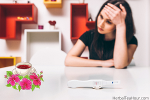 hibiscus tea infertility